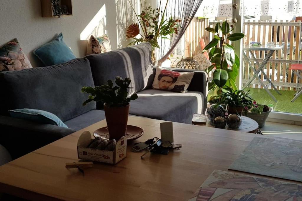 Appartement Complet Et Parking Protege La Teste-de-Buch Esterno foto